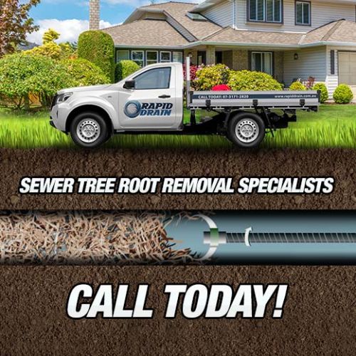 Sewer Tree Root Removal Specialists In Bracalba